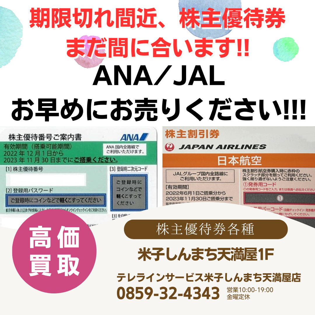 正規品好評JAL　株主優待　4枚　期限2022/11/30、2023/5/31 優待券、割引券